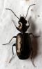 298125 – Photo : André Burgers – Espagne